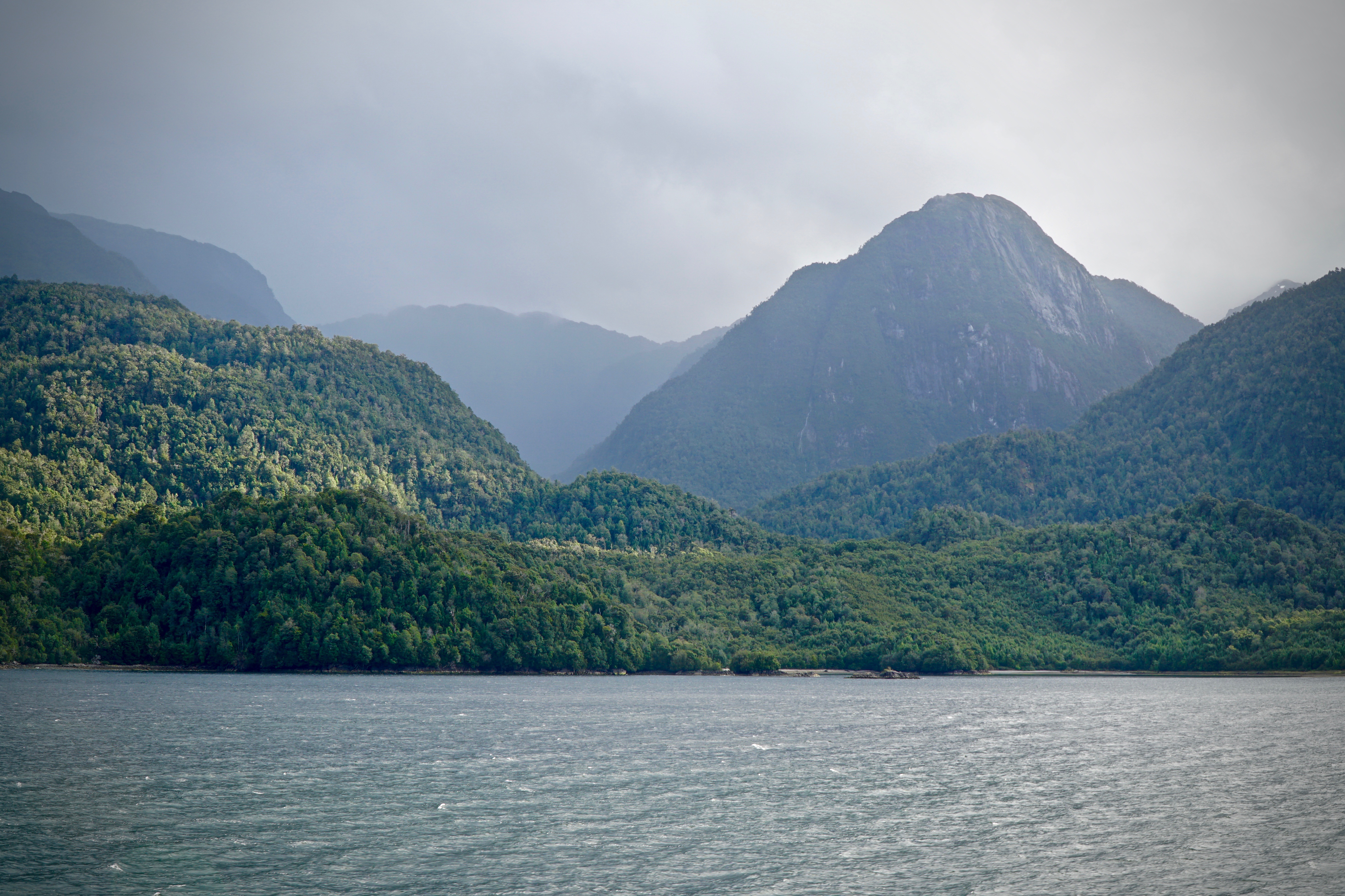 Gemäßigter Regenwald an Chiles Küste